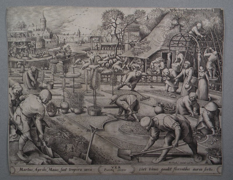 bruegel_ver_site