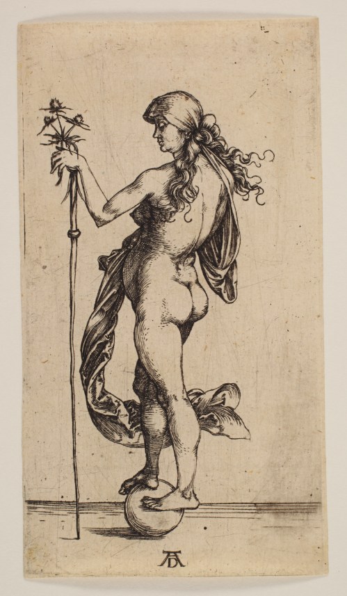 durer_fortune