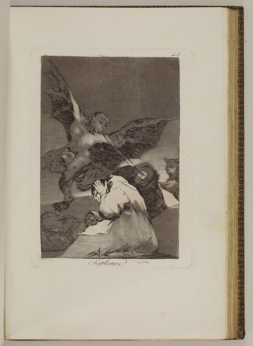 goya_caprices_sarah_sauvin-10