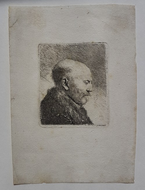 rembrandt_bald_headed-2