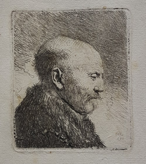 rembrandt_bald_headed