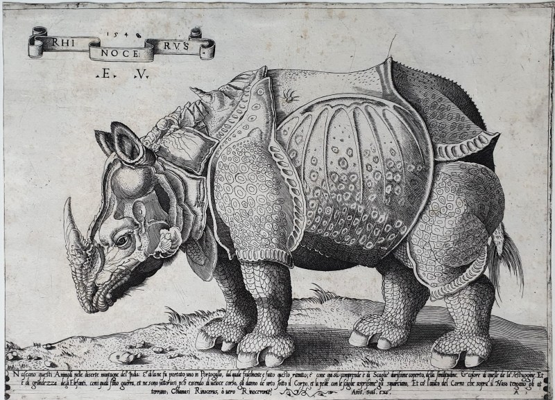 Enea Vico Rhinoceros 1542